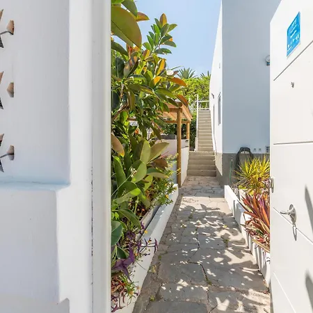 Apartament Fantastico 3